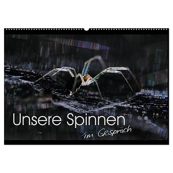 Unsere Spinnen - im Gespräch (Wandkalender 2024 DIN A2 quer), CALVENDO Monatskalender, Carl-Peter Herbolzheimer