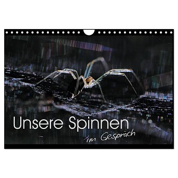 Unsere Spinnen - im Gespräch (Wandkalender 2024 DIN A4 quer), CALVENDO Monatskalender, Carl-Peter Herbolzheimer