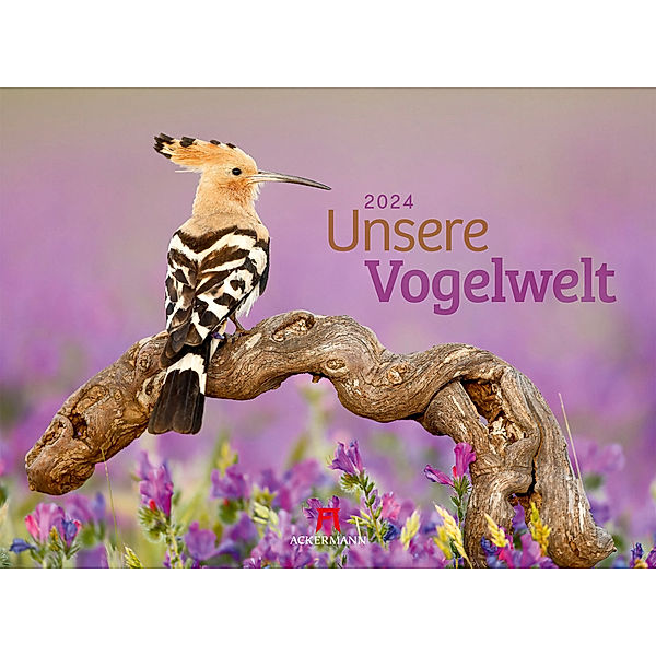 Unsere Vogelwelt Kalender 2024, Ackermann Kunstverlag