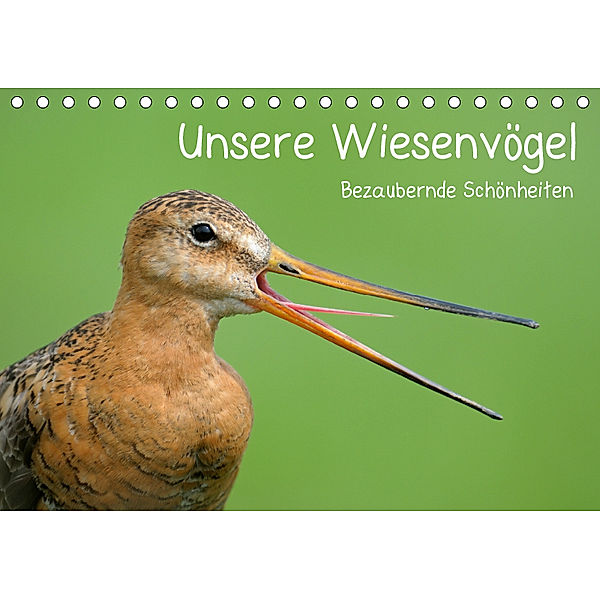 Unsere Wiesenvögel - Bezaubernde Schönheiten (Tischkalender 2019 DIN A5 quer), Christof Wermter