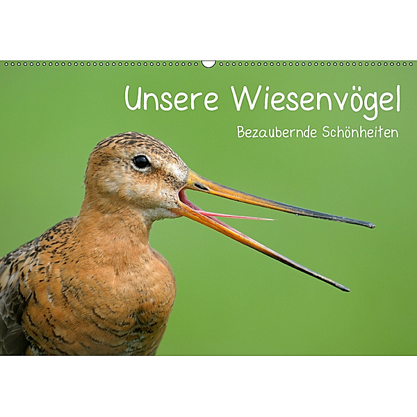 Unsere Wiesenvögel - Bezaubernde Schönheiten (Wandkalender 2019 DIN A2 quer), Christof Wermter