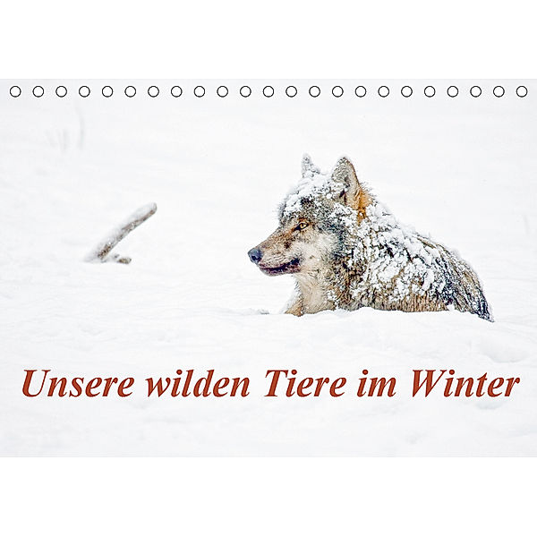 Unsere wilden Tiere im Winter (Tischkalender 2019 DIN A5 quer), Wilfried Martin