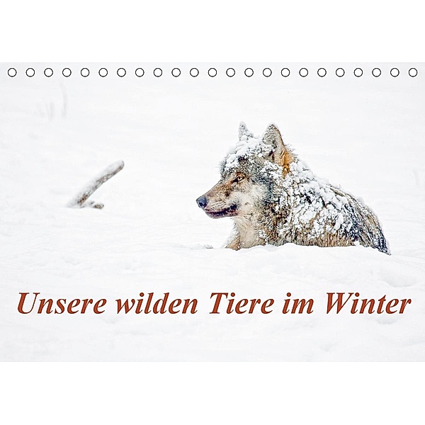 Unsere wilden Tiere im Winter (Tischkalender 2021 DIN A5 quer), Wilfried Martin, GDT