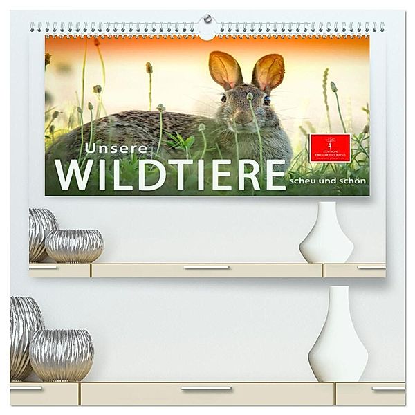 Unsere Wildtiere - scheu und schön (hochwertiger Premium Wandkalender 2024 DIN A2 quer), Kunstdruck in Hochglanz, Peter Roder