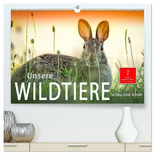 Unsere Wildtiere - scheu und schön (hochwertiger Premium Wandkalender 2025 DIN A2 quer), Kunstdruck in Hochglanz, Calvendo, Peter Roder