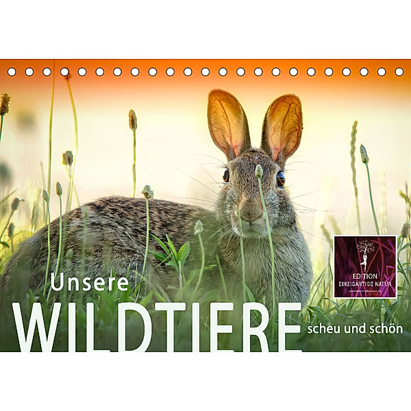 Unsere Wildtiere - scheu und schön (Tischkalender 2023 DIN A5 quer), Peter Roder