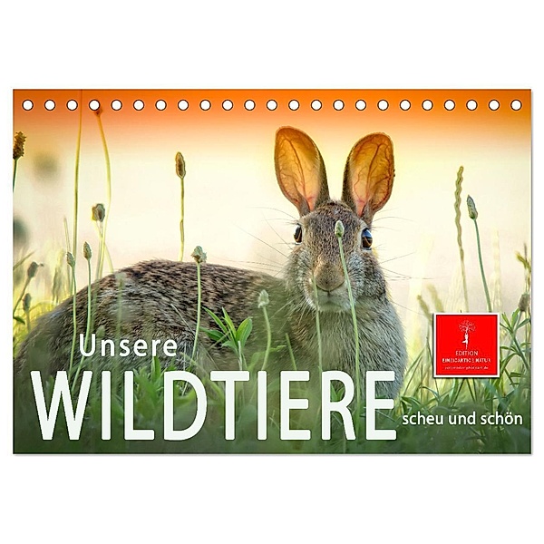 Unsere Wildtiere - scheu und schön (Tischkalender 2024 DIN A5 quer), CALVENDO Monatskalender, Peter Roder