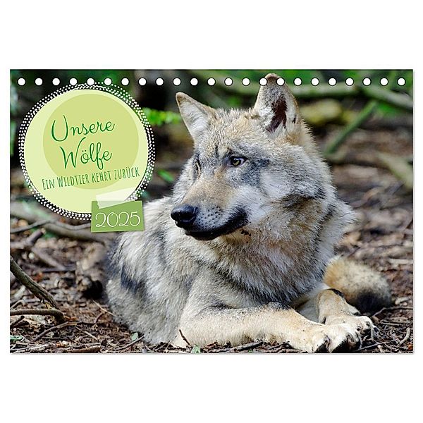 Unsere Wölfe - Ein Wildtier kehrt zurück (Tischkalender 2025 DIN A5 quer), CALVENDO Monatskalender, Calvendo, Angela Rohde