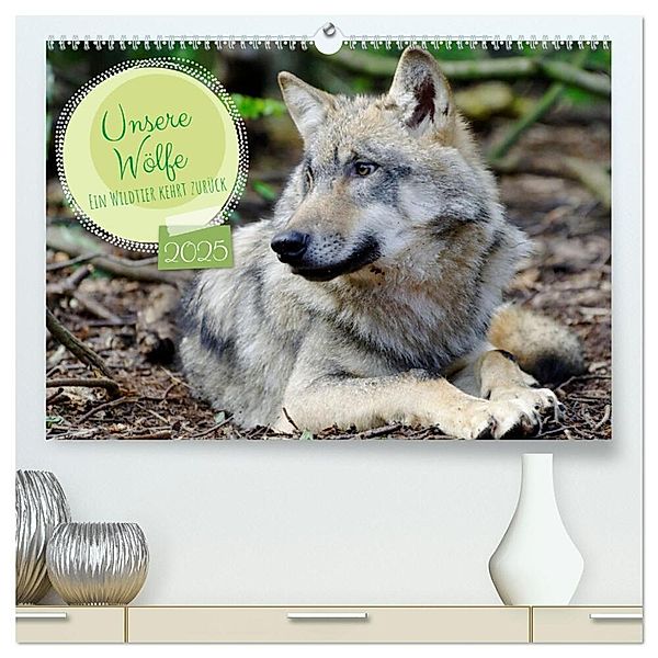 Unsere Wölfe - Ein Wildtier kehrt zurück (hochwertiger Premium Wandkalender 2025 DIN A2 quer), Kunstdruck in Hochglanz, Calvendo, Angela Rohde
