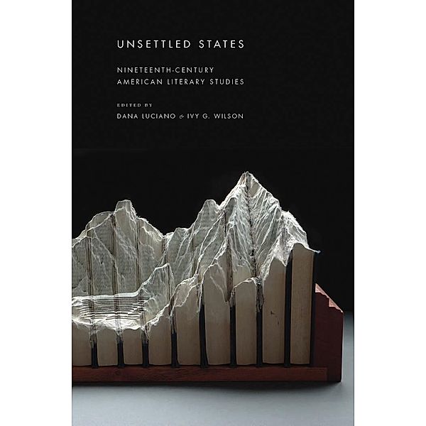 Unsettled States / America and the Long 19th Century Bd.13