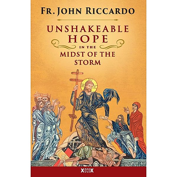 Unshakeable Hope in the Midst of the Storm, Fr. John Riccardo
