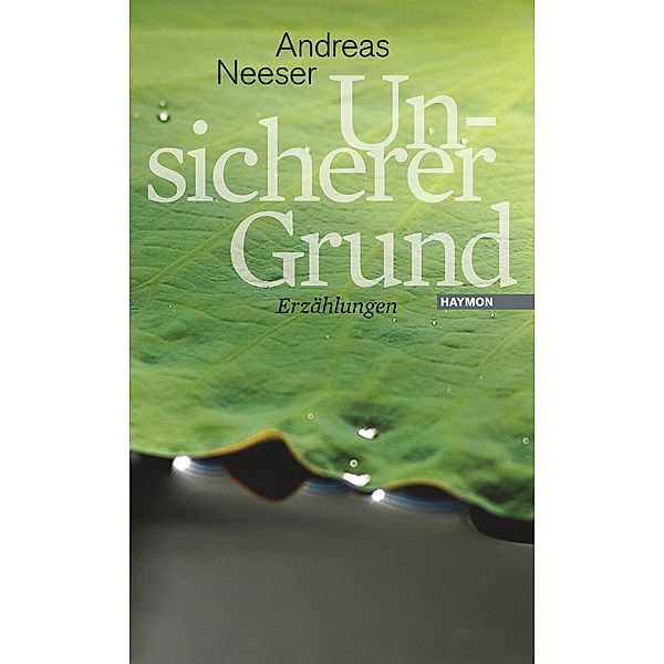 Unsicherer Grund, Andreas Neeser