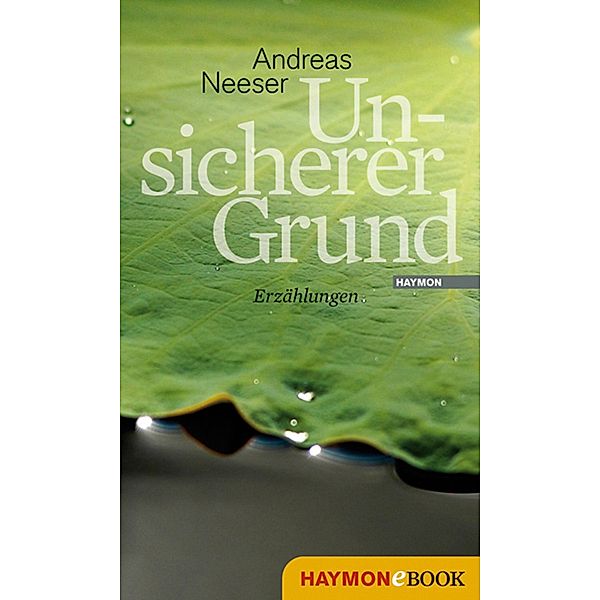 Unsicherer Grund, Andreas Neeser