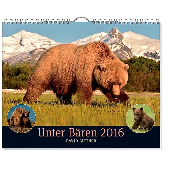 Unter Bären - Kalender 2016