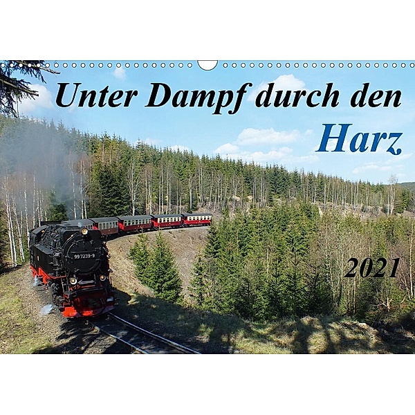 Unter Dampf durch den Harz (Wandkalender 2021 DIN A3 quer), Holger Felix