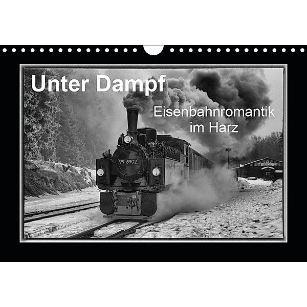 Unter Dampf - Eisenbahnromantik im Harz (Wandkalender 2020 DIN A4 quer), Marion Maurer