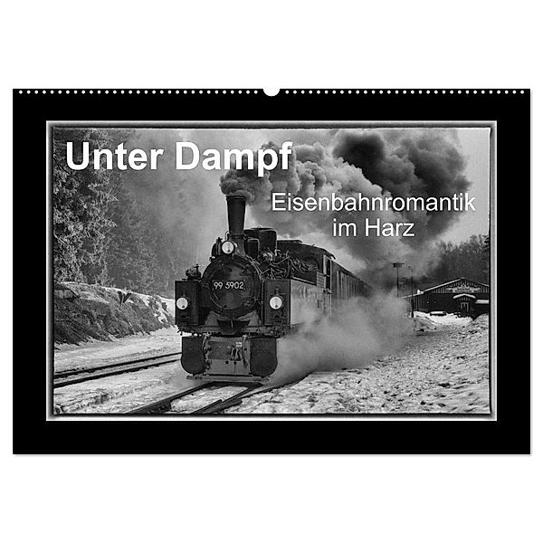 Unter Dampf - Eisenbahnromantik im Harz (Wandkalender 2024 DIN A2 quer), CALVENDO Monatskalender, Marion Maurer