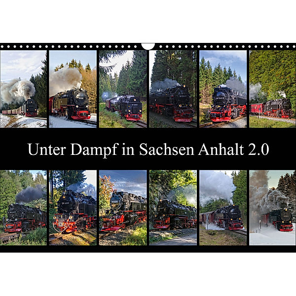 Unter Dampf in Sachsen Anhalt 2.0 (Wandkalender 2019 DIN A3 quer), Steffen Gierok