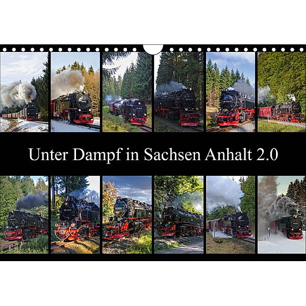 Unter Dampf in Sachsen Anhalt 2.0 (Wandkalender 2019 DIN A4 quer), Steffen Gierok