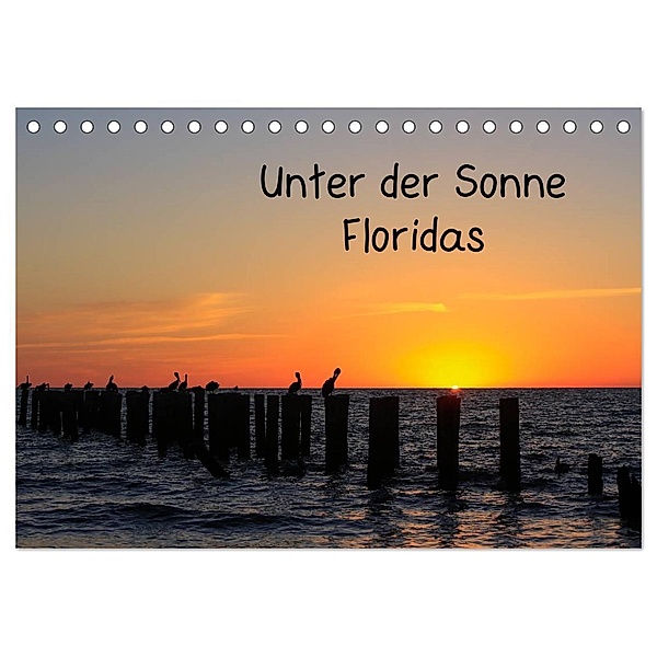 Unter der Sonne Floridas (Tischkalender 2024 DIN A5 quer), CALVENDO Monatskalender, Matthias Haberstock