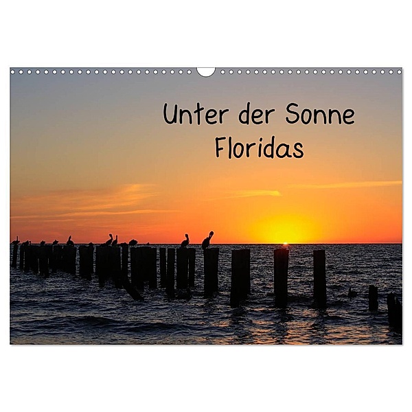 Unter der Sonne Floridas (Wandkalender 2024 DIN A3 quer), CALVENDO Monatskalender, Matthias Haberstock