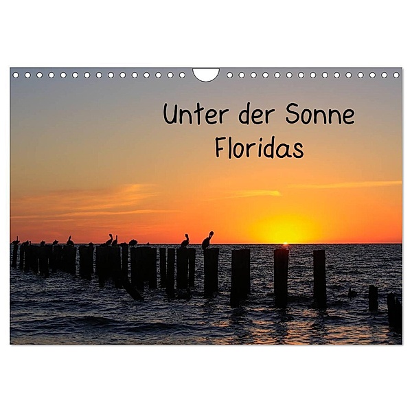 Unter der Sonne Floridas (Wandkalender 2024 DIN A4 quer), CALVENDO Monatskalender, Matthias Haberstock