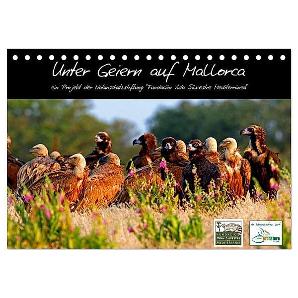 Unter Geiern auf Mallorca: Ein Projekt der Naturschutzstiftung Vida Silvestre Mediterránea (Tischkalender 2024 DIN A5 quer), CALVENDO Monatskalender, FVSM
