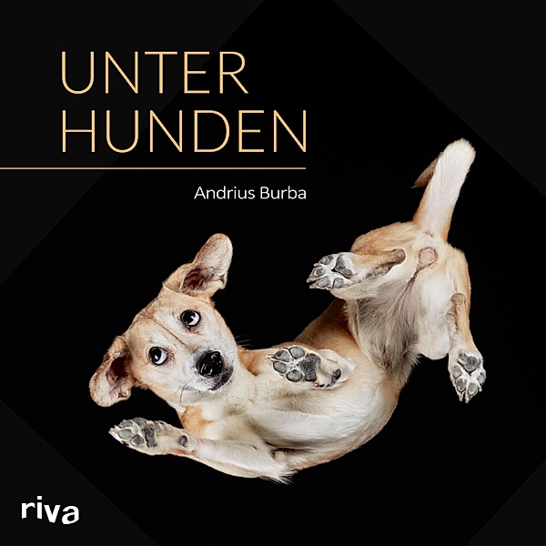 Unter Hunden, Andrius Burba