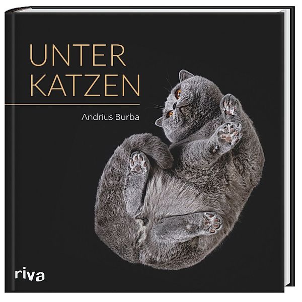 Unter Katzen, Andrius Burba