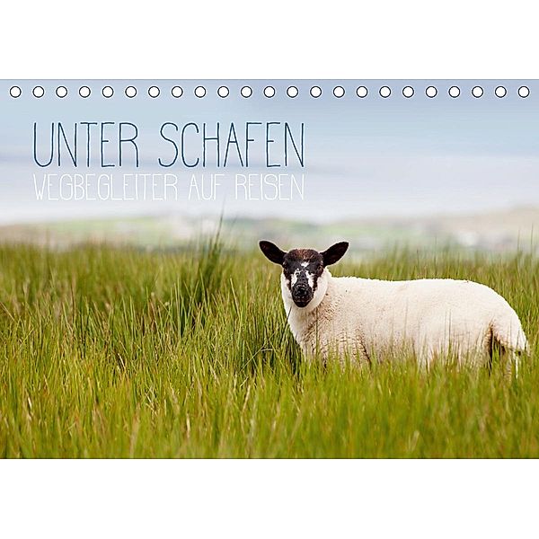 Unter Schafen - Wegbegleiter auf Reisen (Tischkalender 2021 DIN A5 quer), Lain Jackson