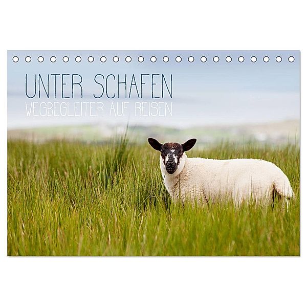Unter Schafen - Wegbegleiter auf Reisen (Tischkalender 2025 DIN A5 quer), CALVENDO Monatskalender, Calvendo, Lain Jackson