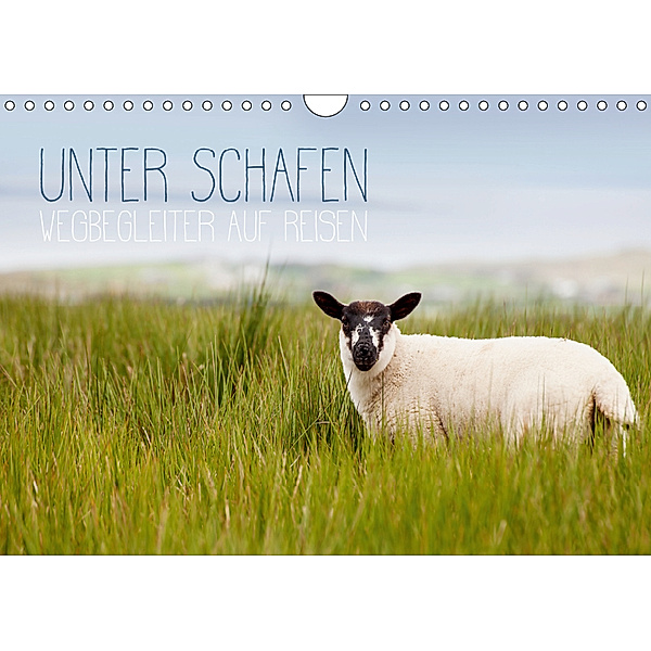 Unter Schafen - Wegbegleiter auf Reisen (Wandkalender 2019 DIN A4 quer), Lain Jackson