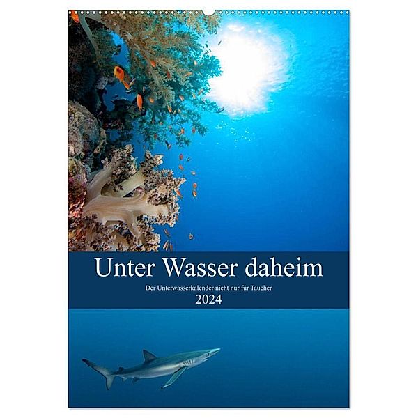 Unter Wasser daheim (Wandkalender 2024 DIN A2 hoch), CALVENDO Monatskalender, Sven Gruse