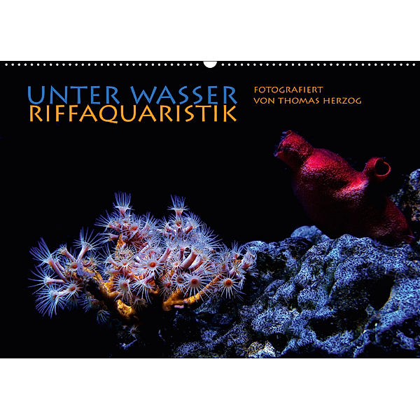 UNTER WASSER Riffaquaristik (Wandkalender 2019 DIN A2 quer), Thomas Herzog