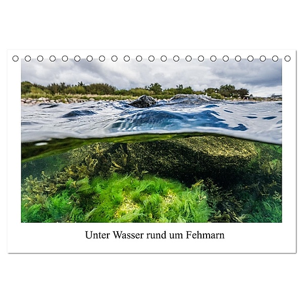 Unter Wasser rund um Fehmarn (Tischkalender 2025 DIN A5 quer), CALVENDO Monatskalender, Calvendo, Dr.Martin Sczyrba