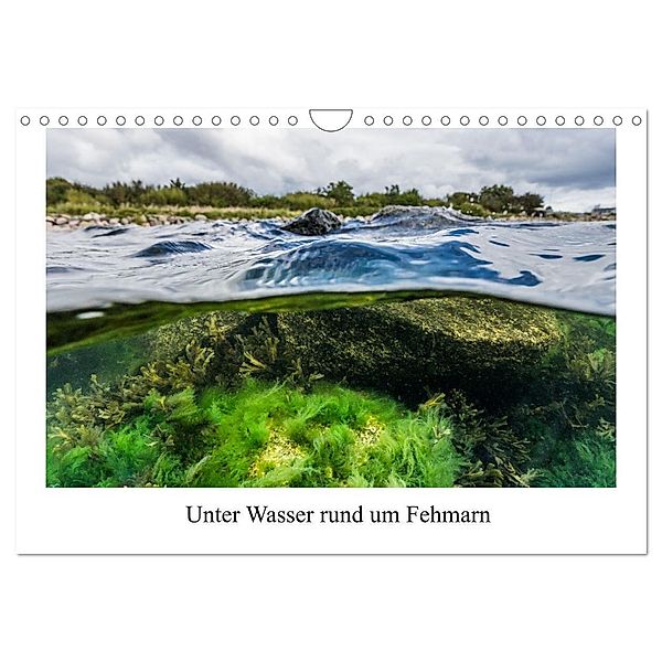 Unter Wasser rund um Fehmarn (Wandkalender 2024 DIN A4 quer), CALVENDO Monatskalender, Dr.Martin Sczyrba