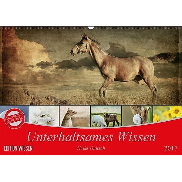 Unterhaltsames Wissen (Wandkalender 2017 DIN A2 quer), Heike Hultsch