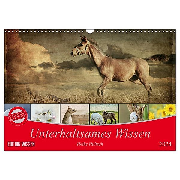 Unterhaltsames Wissen (Wandkalender 2024 DIN A3 quer), CALVENDO Monatskalender, Heike Hultsch