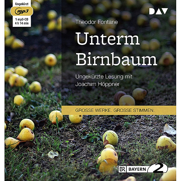 Unterm Birnbaum,1 Audio-CD, 1 MP3, Theodor Fontane