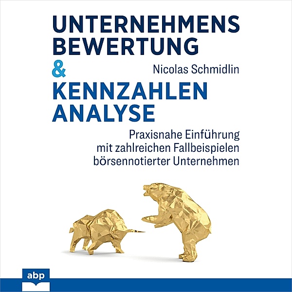 Unternehmensbewertung & Kennzahlenanalyse, Nicolas Schmidlin