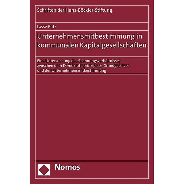 Unternehmensmitbestimmung in kommunalen Kapitalgesellschaften, Lasse Pütz