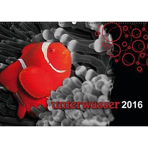 Unterwasser 2016 (Wandkalender 2016 DIN A2 quer), Clemens Scheumann