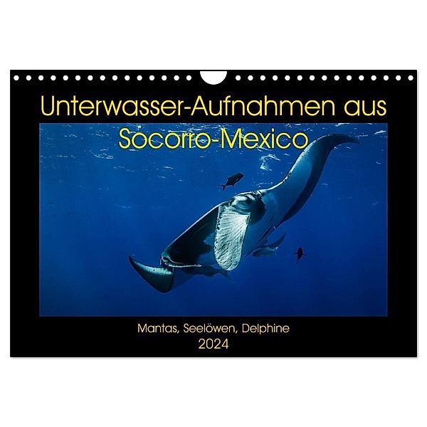 Unterwasser-Aufnahmen aus Socorro-Mexico (Wandkalender 2024 DIN A4 quer), CALVENDO Monatskalender, Sascha Caballero
