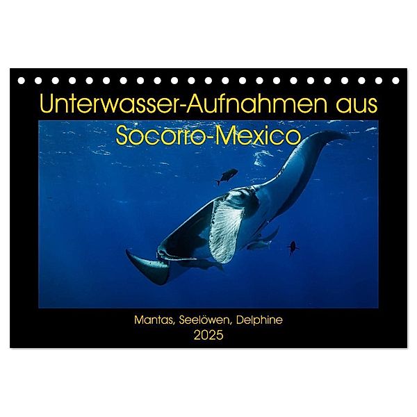 Unterwasser-Aufnahmen aus Socorro-Mexico (Tischkalender 2025 DIN A5 quer), CALVENDO Monatskalender, Calvendo, Sascha Caballero