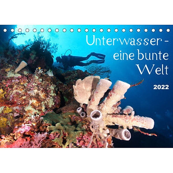Unterwasser - eine bunte Welt (Tischkalender 2022 DIN A5 quer), Bianca Schumann