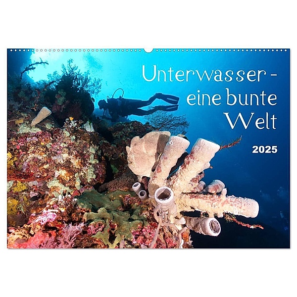 Unterwasser - eine bunte Welt (Wandkalender 2025 DIN A2 quer), CALVENDO Monatskalender, Calvendo, Bianca Schumann