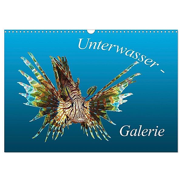 Unterwasser-Galerie (Wandkalender 2024 DIN A3 quer), CALVENDO Monatskalender, Ute Niemann