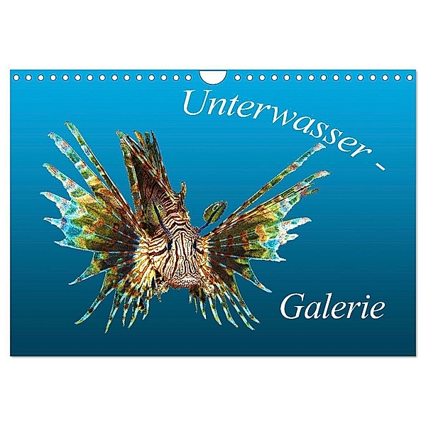 Unterwasser-Galerie (Wandkalender 2024 DIN A4 quer), CALVENDO Monatskalender, Ute Niemann