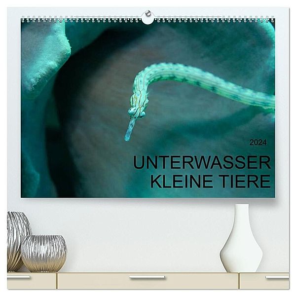 UNTERWASSER KLEINE TIERE (hochwertiger Premium Wandkalender 2024 DIN A2 quer), Kunstdruck in Hochglanz, Karsten Schulze