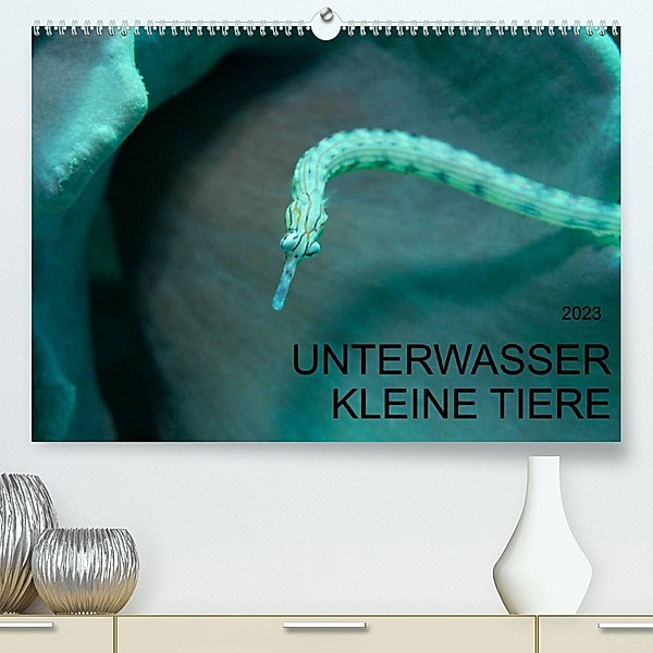 UNTERWASSER KLEINE TIERE (Premium, hochwertiger DIN A2 Wandkalender 2023, Kunstdruck in Hochglanz), Karsten Schulze
